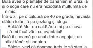 Ce se &icirc;nt&acirc;mplă cu banii și vechimea dacă ai două joburi ?