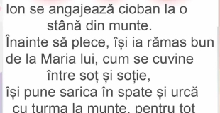 Salarii de p&acirc;nă la 45.000 de euro pe an &icirc;n Italia. Compania care face angajări! (+BANC ↧)