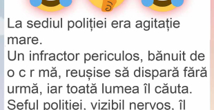 Canicula &icirc;ți poate distruge mașina. Verificările care te scapă de reparații costisitoare &icirc;nainte de orice drum